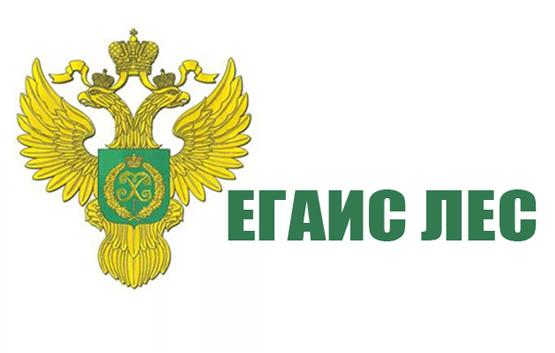 Учет пиломатериалов по новым стандартам в Лес ЕГАИС